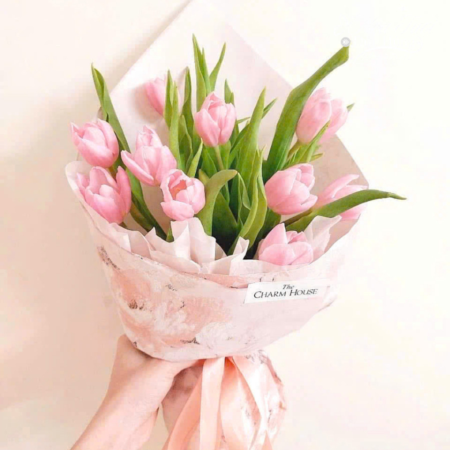 bó hoa tulip màu hồng đẹp