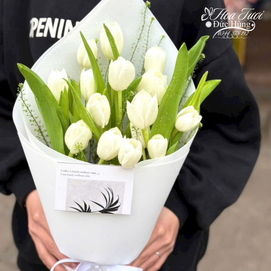 bó hoa tulip màu trắng đẹp