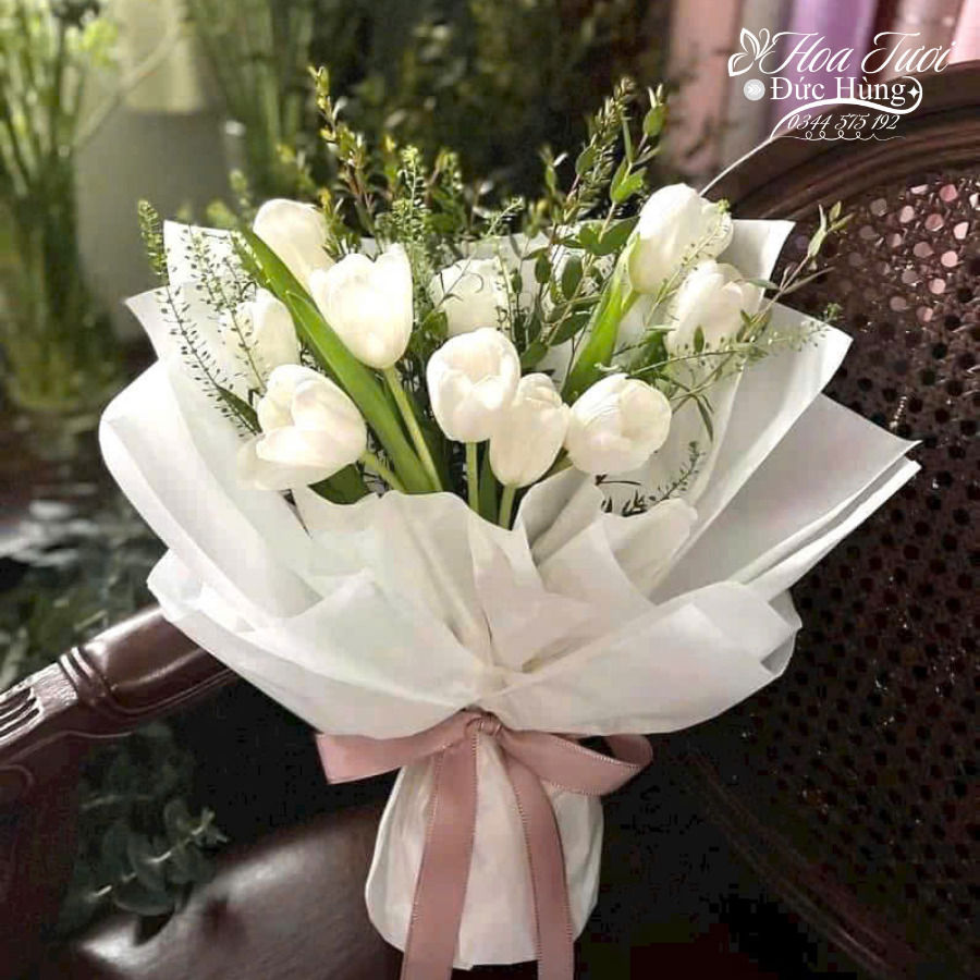 hoa tulip màu trắng đẹp